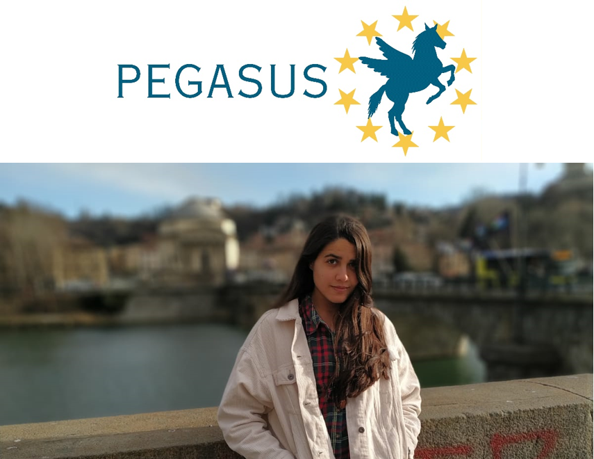 Sara Jimenez ESR3 Pegasus Conference